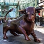 bull_birminghamn