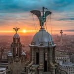 liverbird